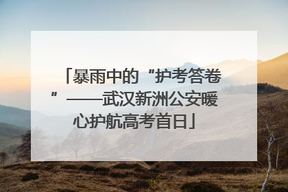暴雨中的“护考答卷”——武汉新洲公安暖心护航高考首日